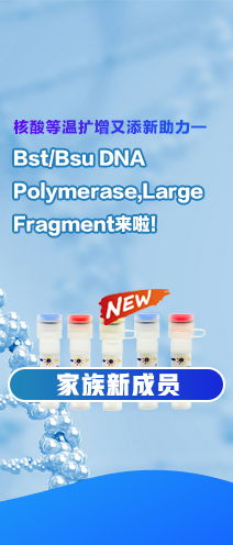 A21K Mr角轉(zhuǎn)子 23120 G, 12×10ml E2746 技術(shù)參數(shù)與服務解析